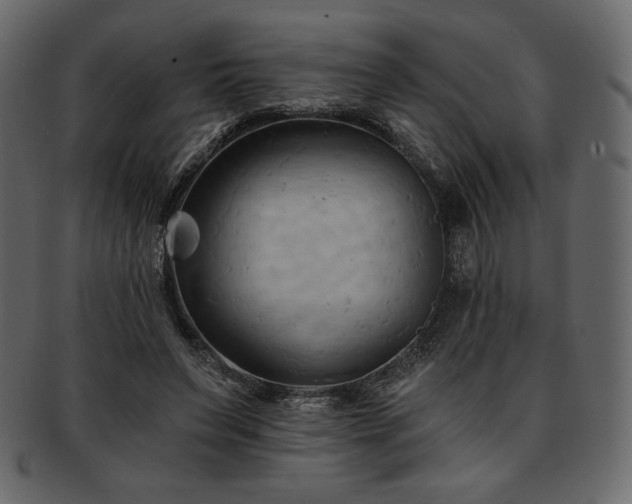 X0000093380495200710191137