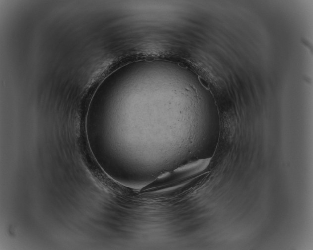 X0000093380496200710191137