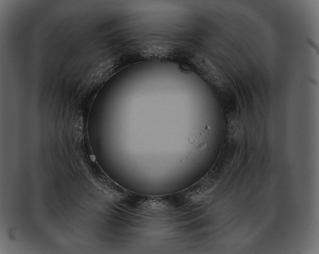 X0000093380498200710191137