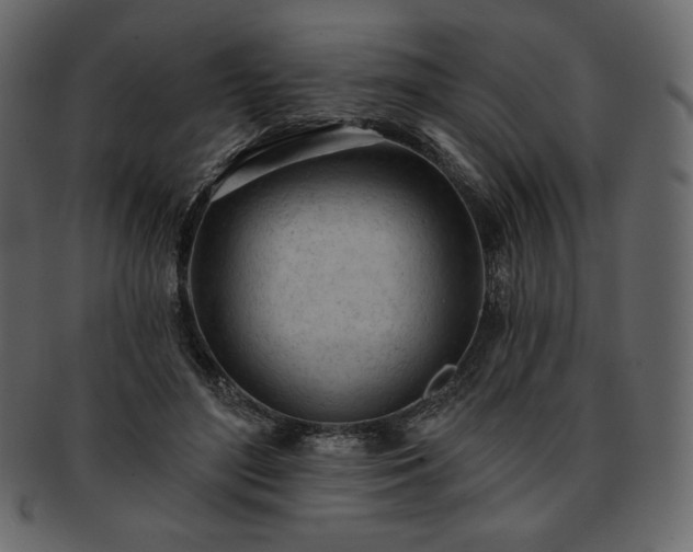 X0000093380500200710191137