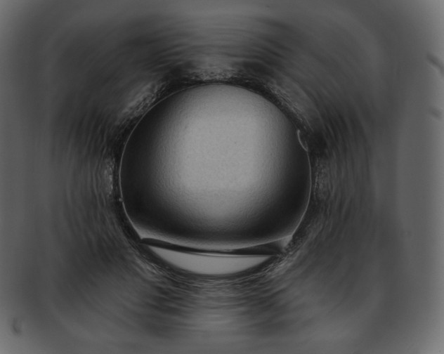 X0000093380501200710191137