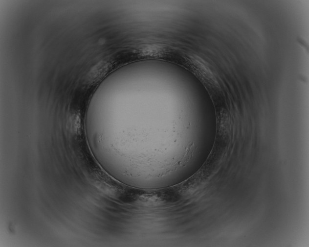 X0000093380502200710191137