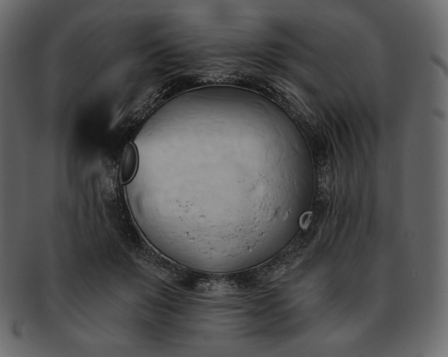 X0000093380503200710191137