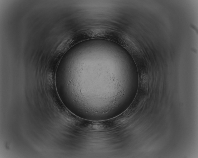 X0000093380506200710191137