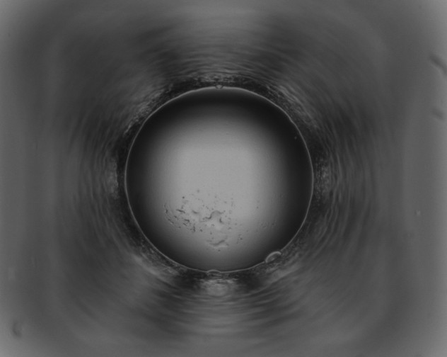 X0000093380508200710191137