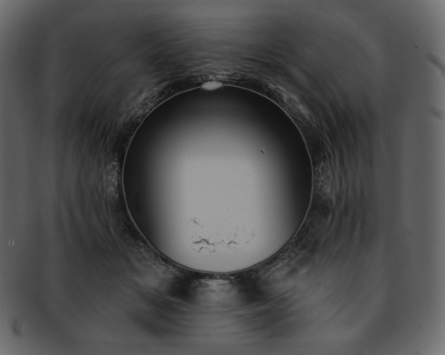 X0000093380509200710191137