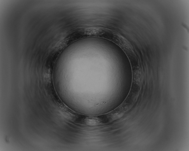 X0000093380510200710191137