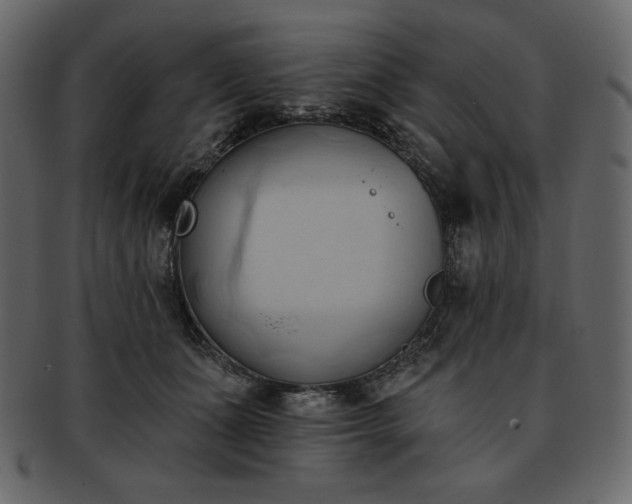 X0000093380511200710191137