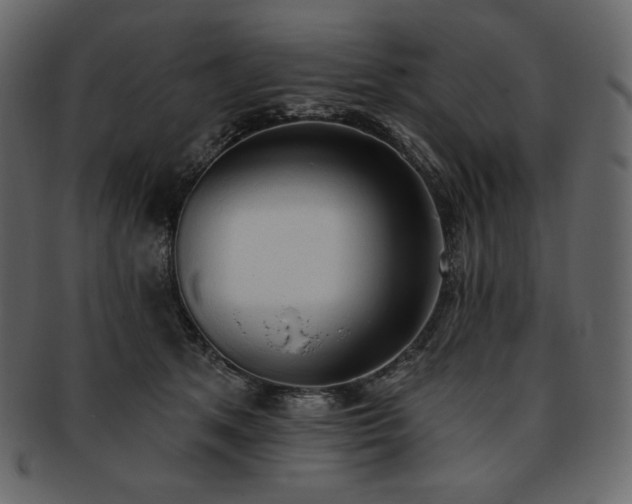 X0000093380513200710191137