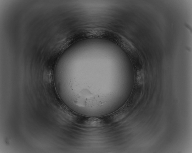 X0000093380514200710191137