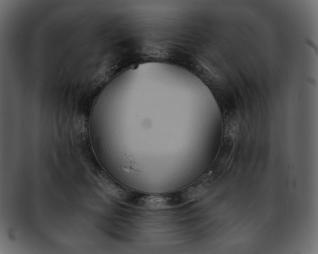 X0000093380518200710191137