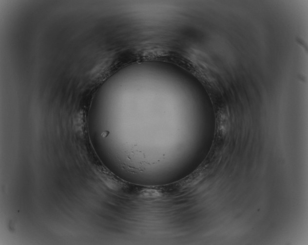 X0000093380519200710191137