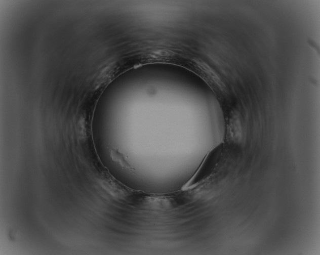 X0000093380520200710191137