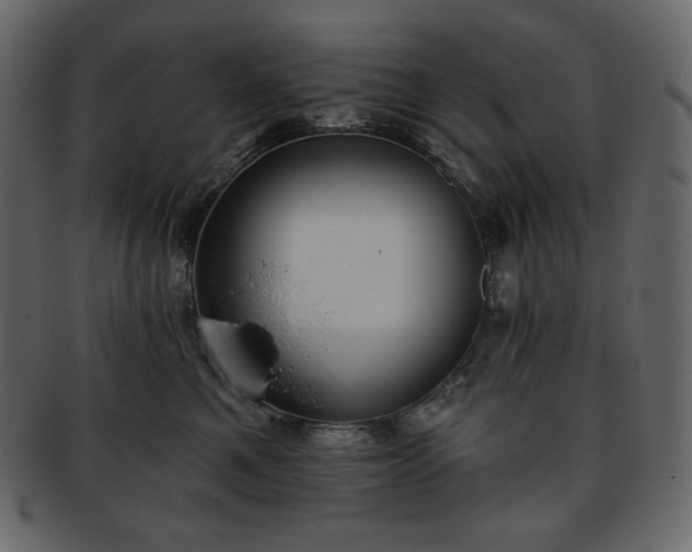 X0000093380521200710191137