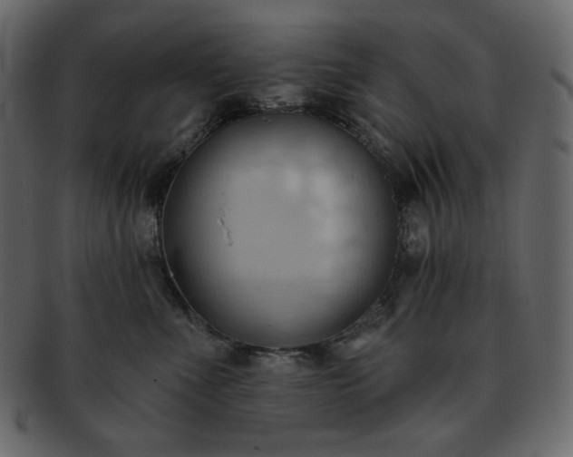 X0000093380523200710191137