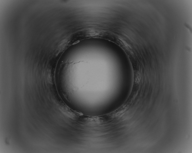 X0000093380524200710191137