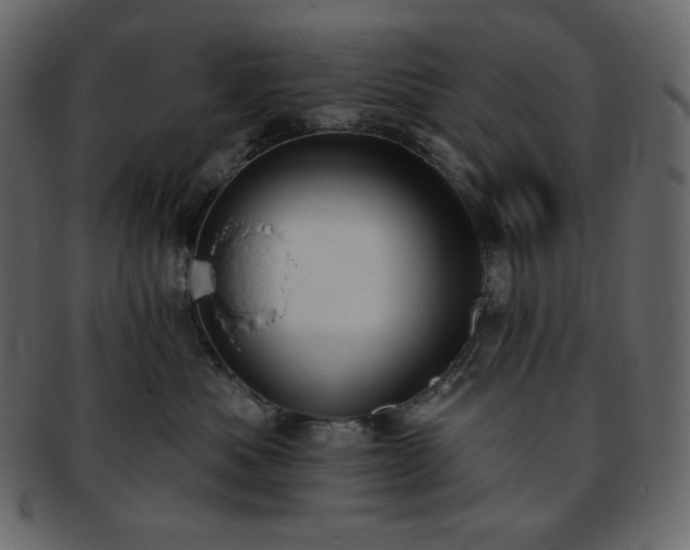 X0000093380525200710191137