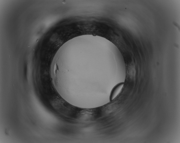 X0000093380526200710191137