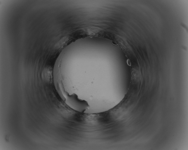 X0000093380527200710191137