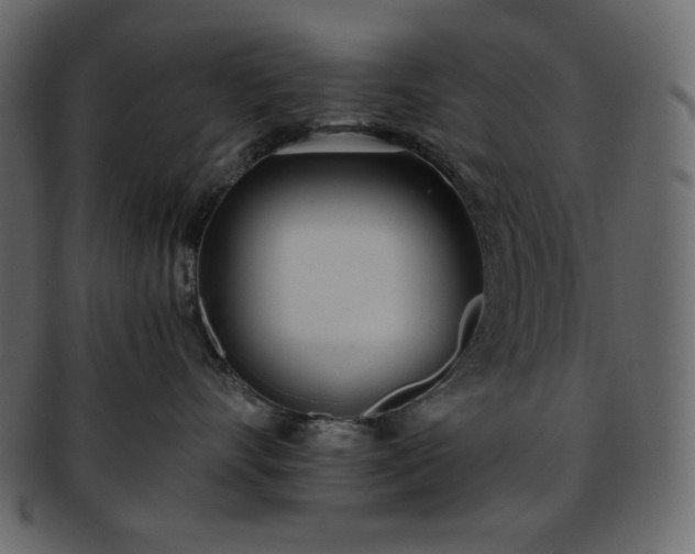 X0000093380528200710191137