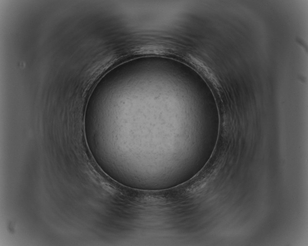 X0000093380529200710191136