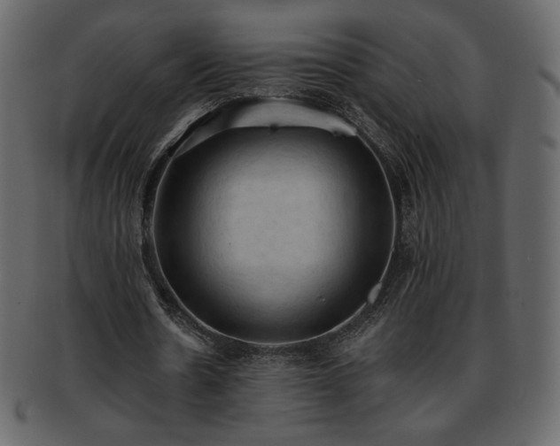 X0000093380530200710191136