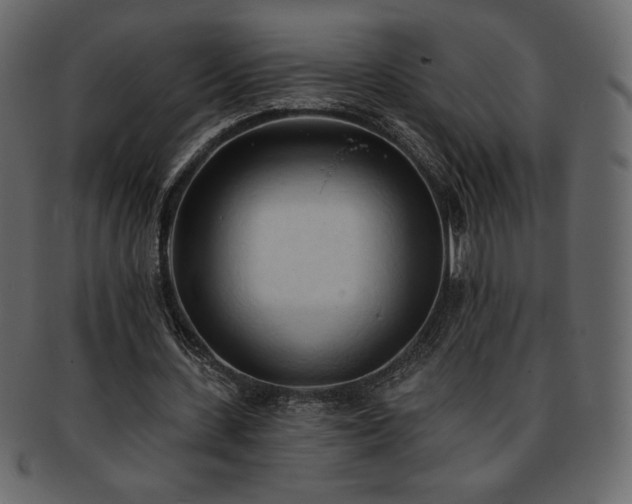 X0000093380531200710191136