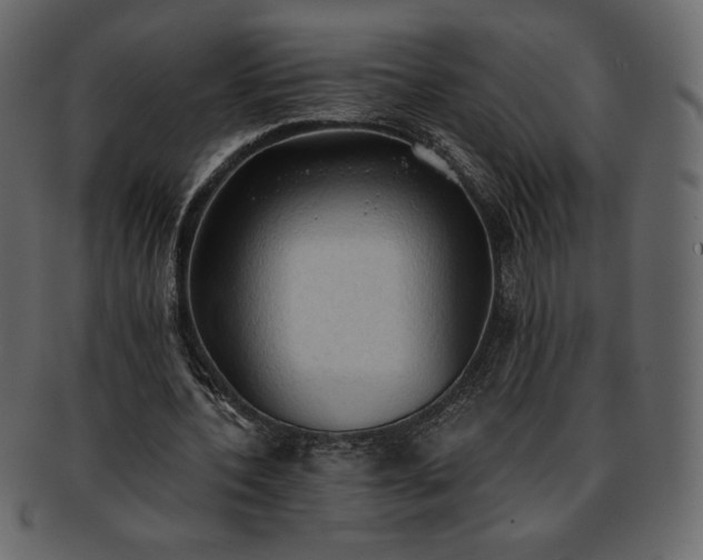 X0000093380532200710191136