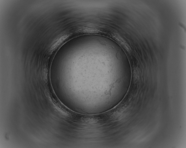 X0000093380533200710191136