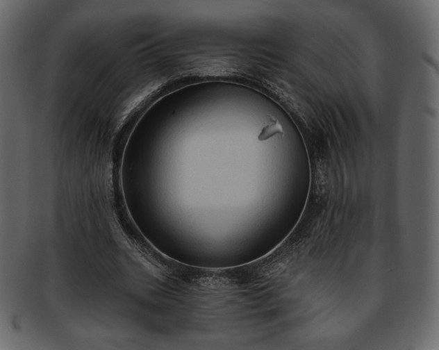 X0000093380535200710191136