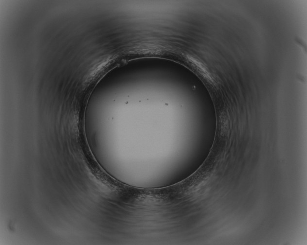 X0000093380538200710191136