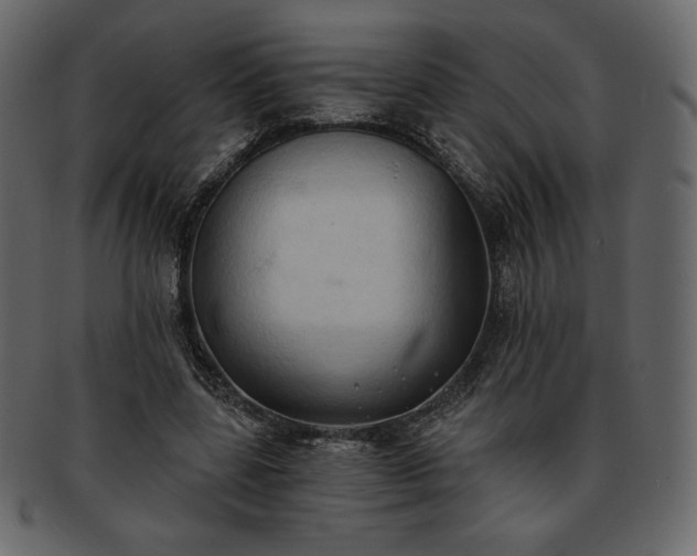 X0000093380539200710191136