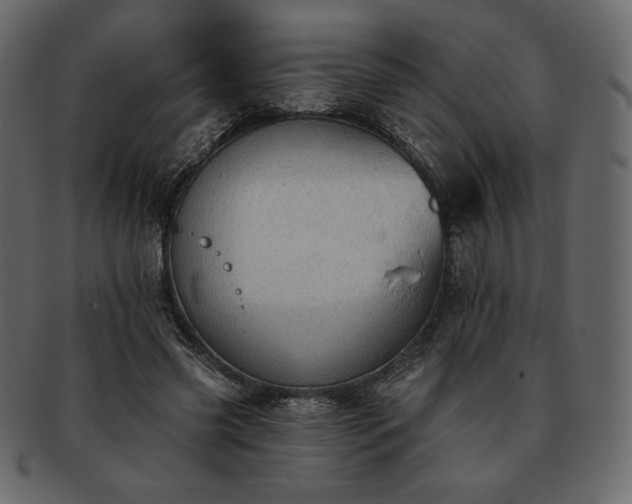 X0000093380541200710191136