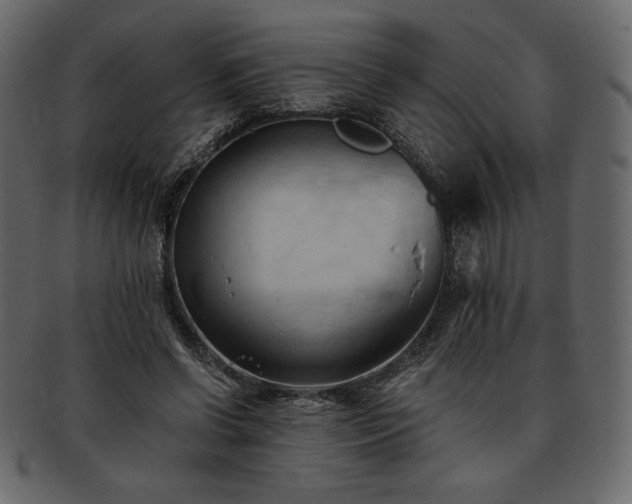 X0000093380542200710191136