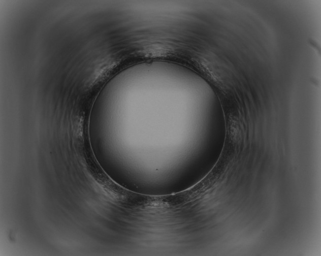 X0000093380543200710191136