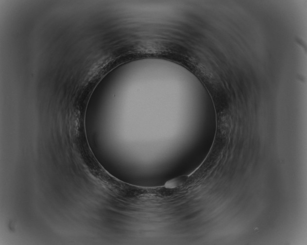 X0000093380544200710191136