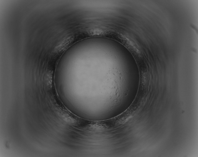 X0000093380545200710191136