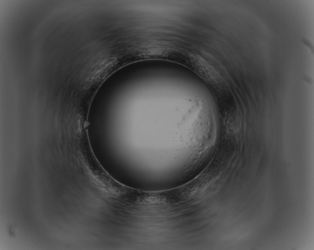 X0000093380546200710191136