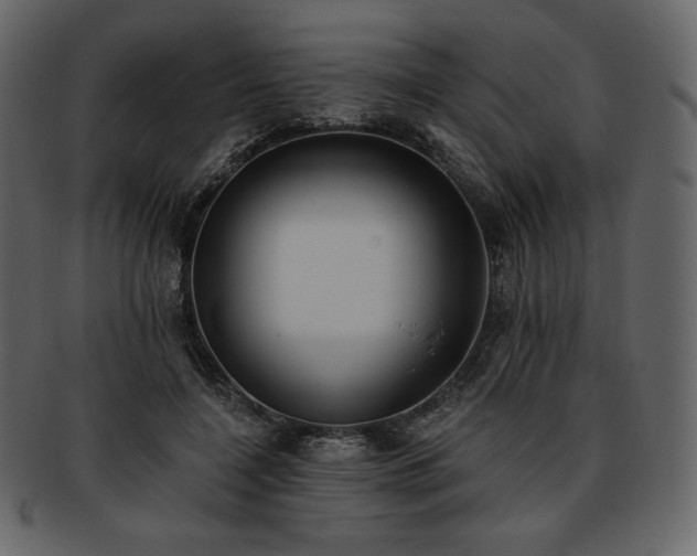 X0000093380548200710191136