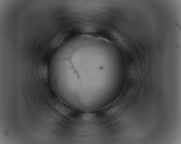 X0000093380549200710191136