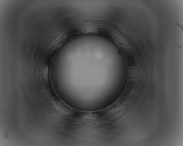 X0000093380550200710191136