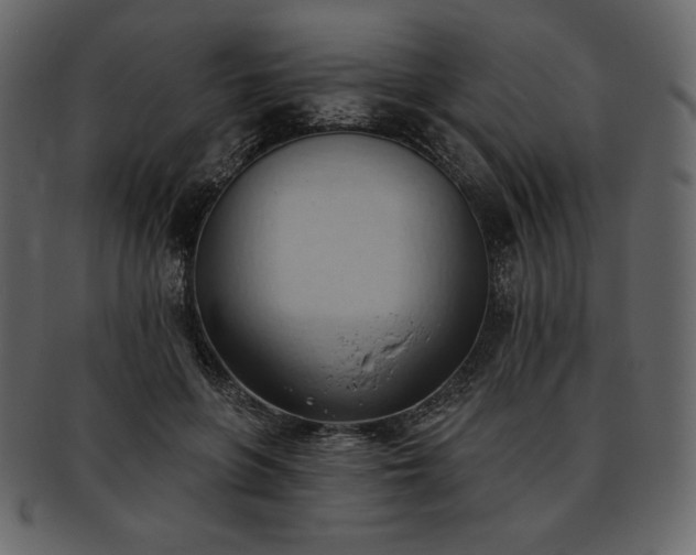 X0000093380551200710191136