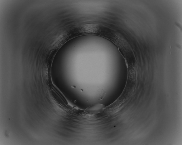 X0000093380552200710191136