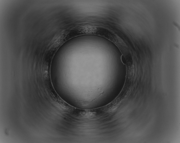 X0000093380553200710191136