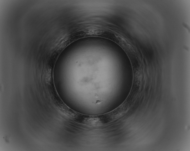 X0000093380554200710191136