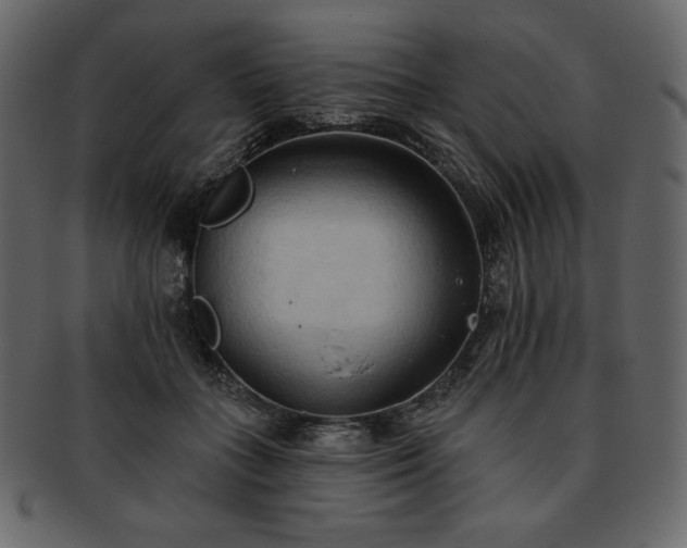 X0000093380555200710191136