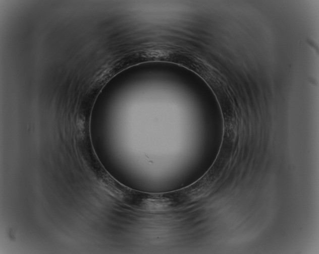 X0000093380556200710191136