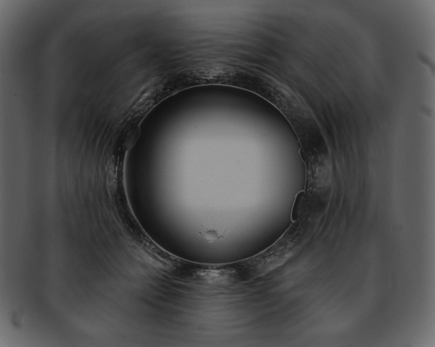 X0000093380558200710191137