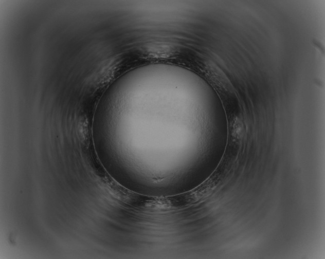 X0000093380559200710191137