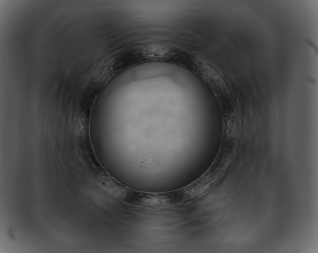 X0000093380561200710191137